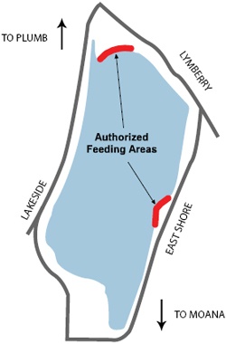 Virginia Lake Park